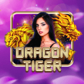 Dragon Tiger live game on JL55 Seat Map