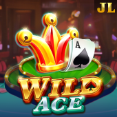 Wild Ace slot on JL55 Seat Map
